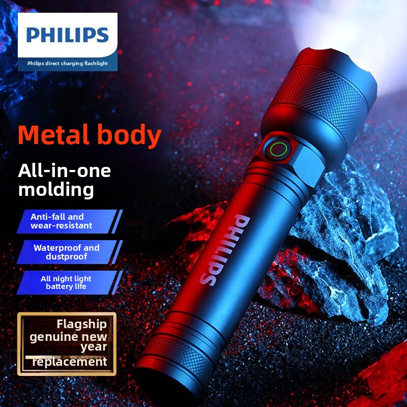 Outdoor Lighting Setup - 2025 NEW Philips SFL2188 LED Aluminum
