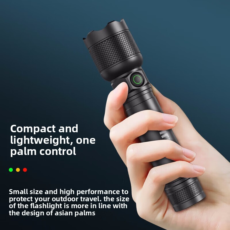 2025 NEW Philips SFL2188 LED A - đánh giá và giá Outdoor Lighting Setup